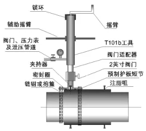 mg不朽情缘(中国区)官方网站